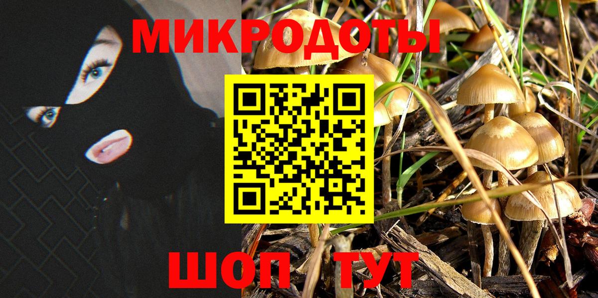 Бошки Шишки Железногорск