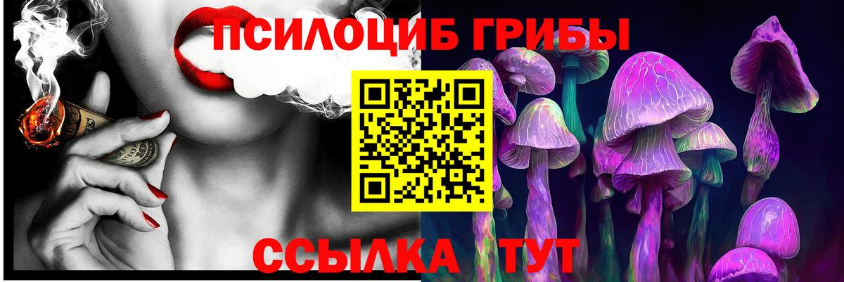 купить наркоту  Галлюциногенные грибы Magic Shrooms  Галлюциногенные грибы мухоморы  Вход с VPN  Железногорск 